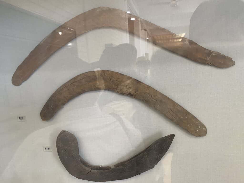 boomerangs on display at elephantine island