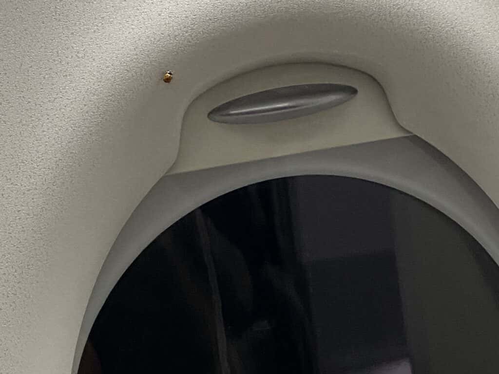 lady bug above airplane window