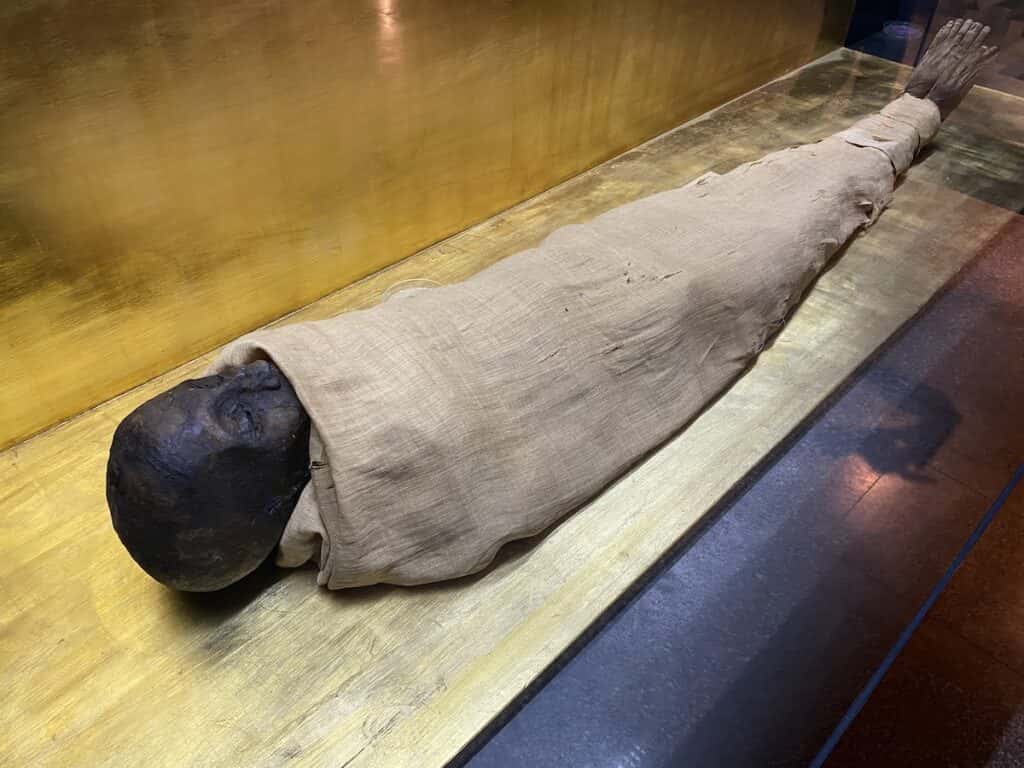 Mummy on display in the Imhotep Museum