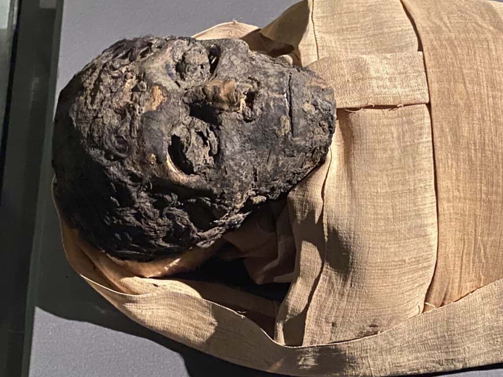 Ahmose mummy at Luxor Museum