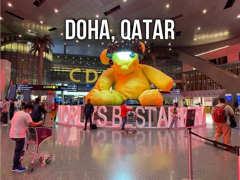 Doha airport bear