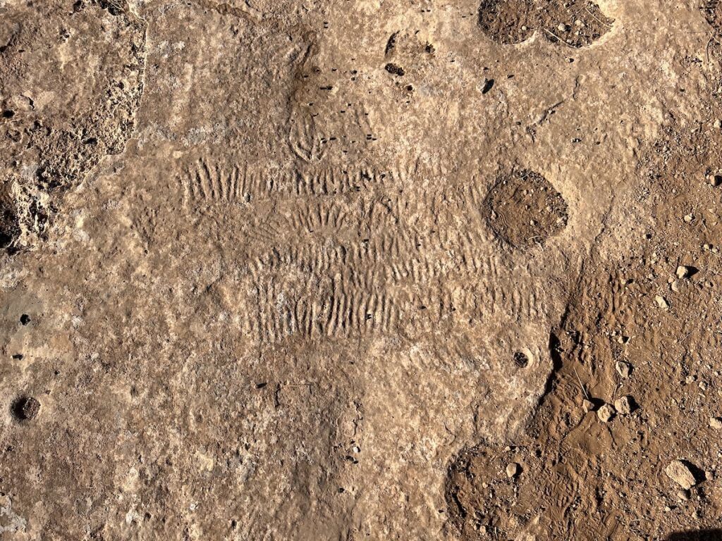 Etched lines in the ground at Karahan Tepe