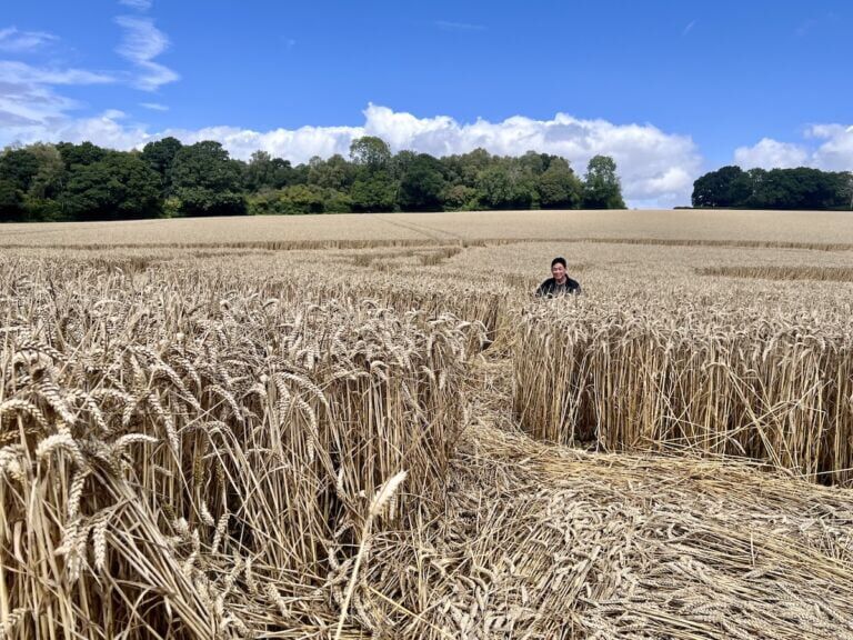 Alresford-Bramdean Crop Circle investigator