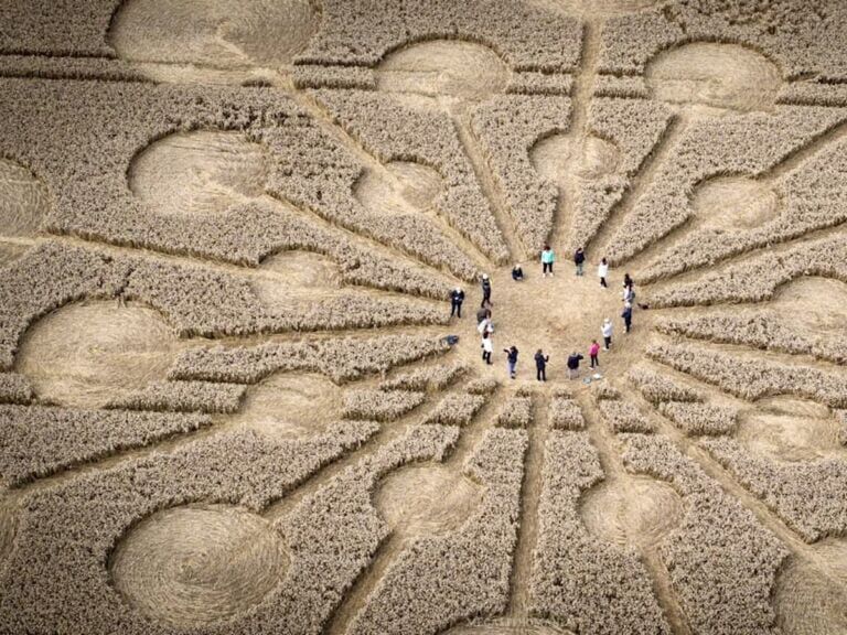 Investigating 2 Mystical Crop Circles in England