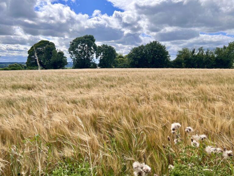 Farmland surrounding Fourknocks Tomb