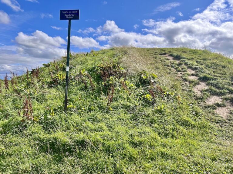 Grassy top of the Fourknocks tomb mound