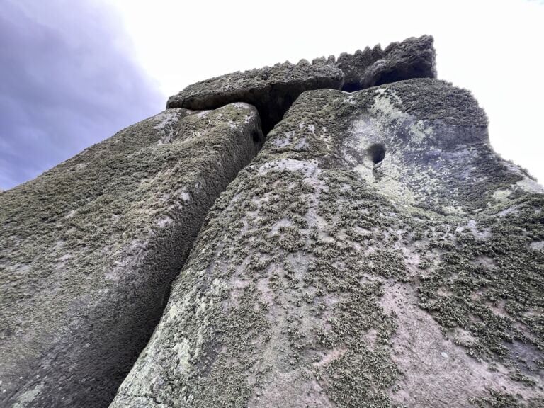 Lichen growing on the sarsen stones.