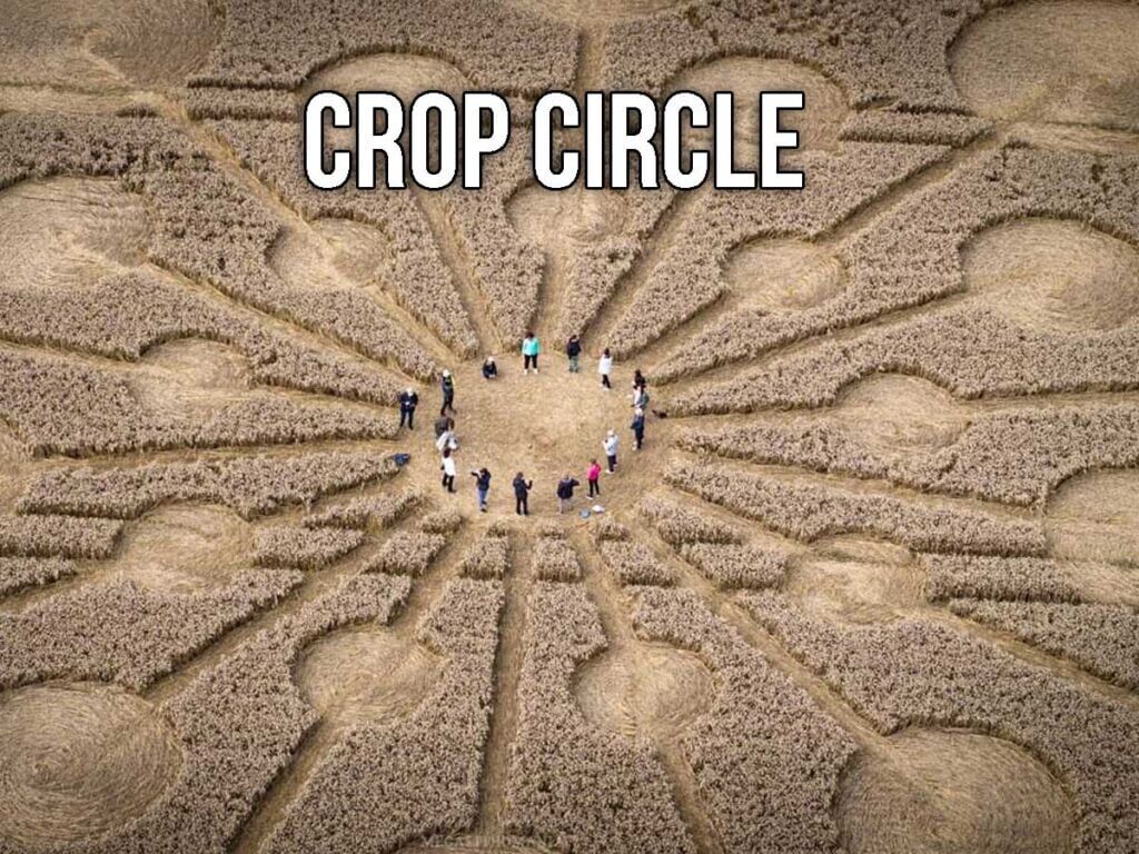 People in the center of a crop circle in England