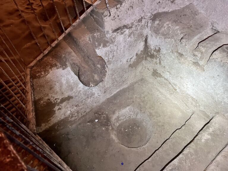 Basin for producing wine