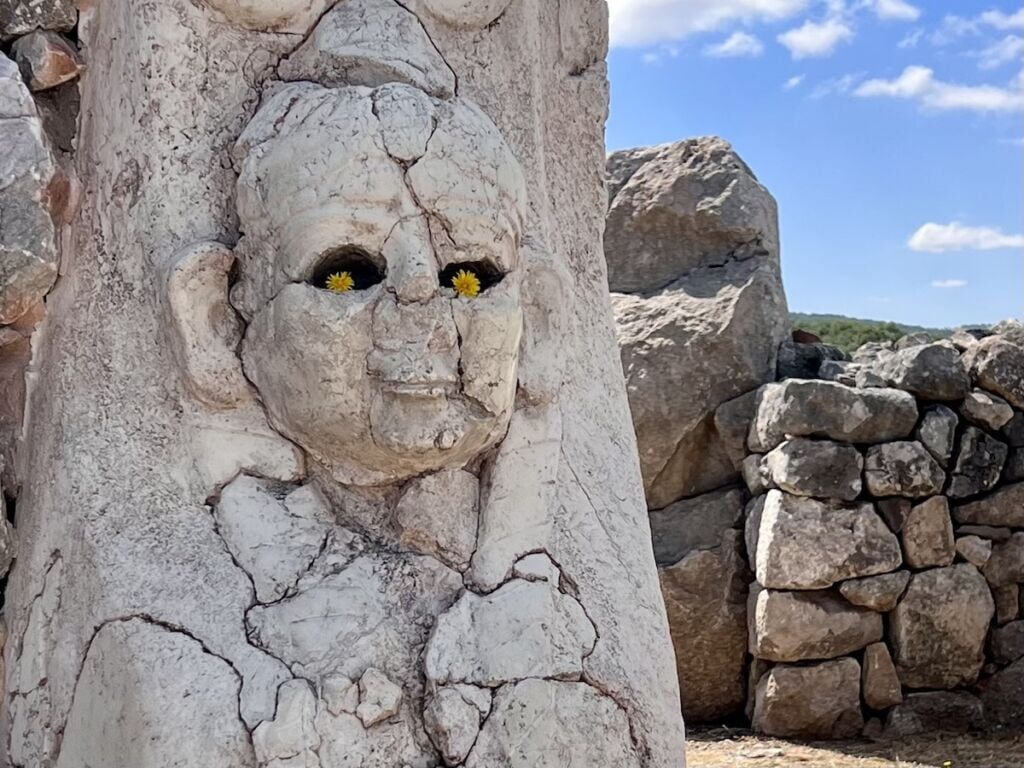 Hattusa Sphinx flowers in eye socket