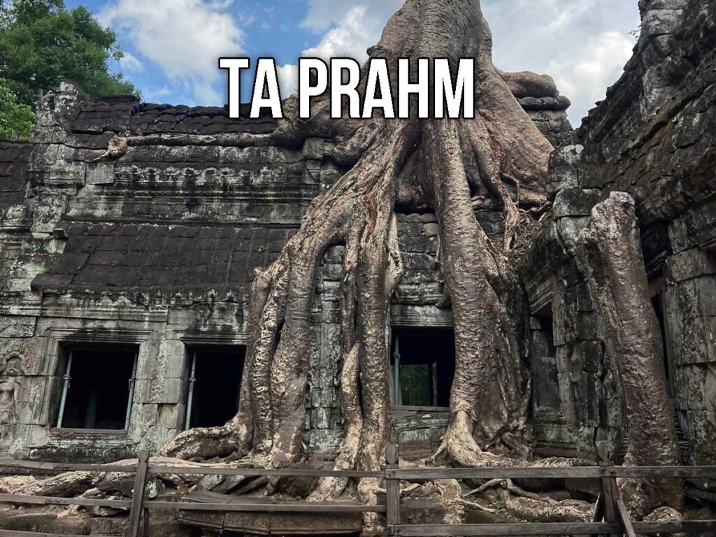 As featured in the Tomb Raider Movie, massive tree roots grow over and through the crumbling stone walls of Ta Prohm, blending ancient temple architecture with dense jungle vegetation.