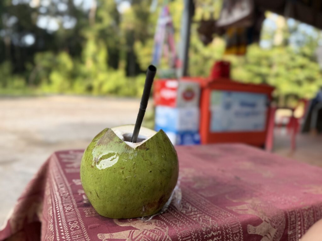 A fresh green coconut with a straw on a table at a roadside stall in Angkor