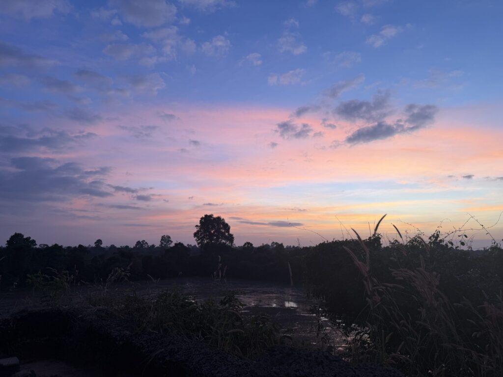 Pink and violet afterglow above the treeline, seen from the Angkor Thom wall after sunset