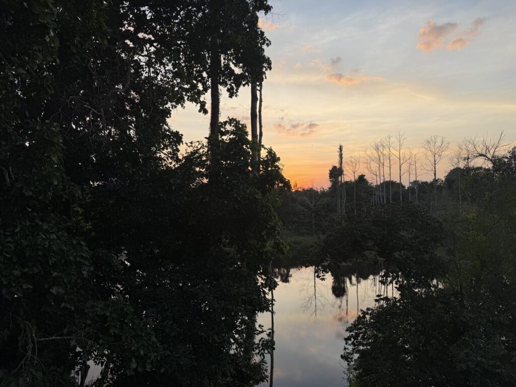 Silhouetted trees and the sunset sky reflected in the Angkor Thom moat