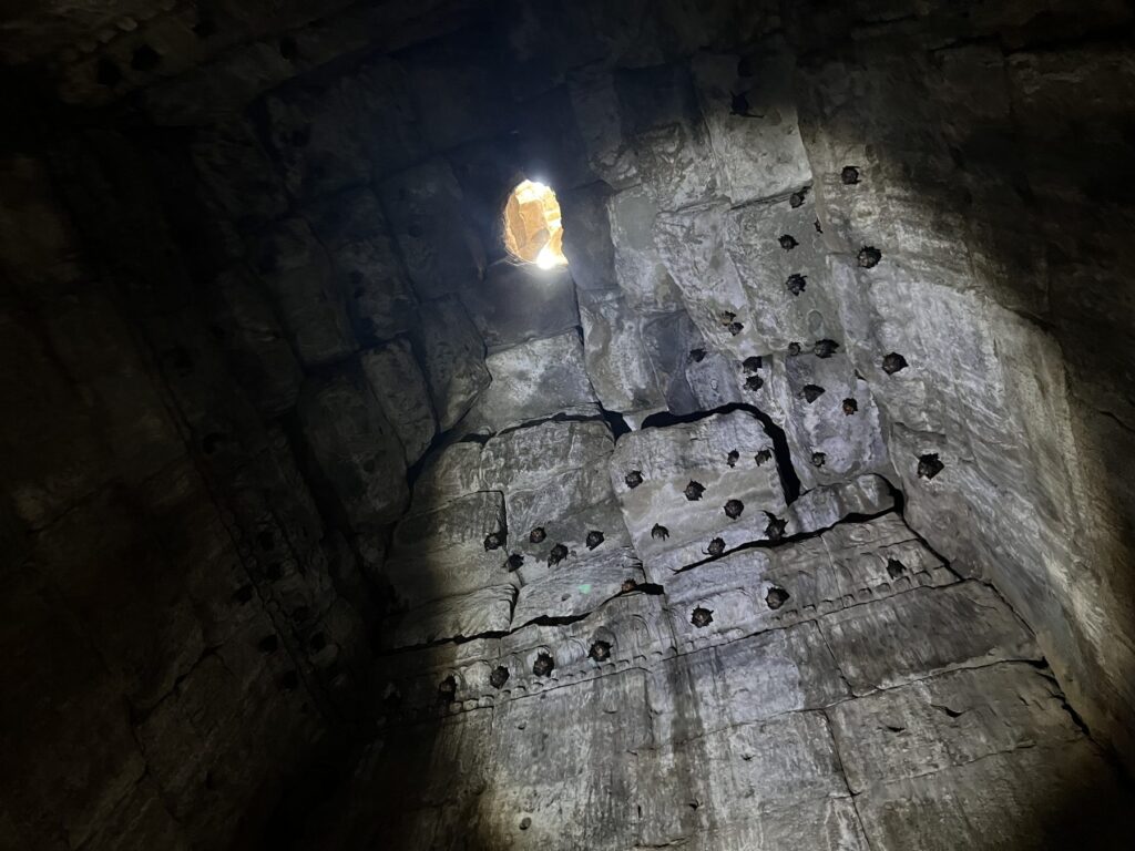 A small round opening at the top of a dark tower chamber at the Bayon