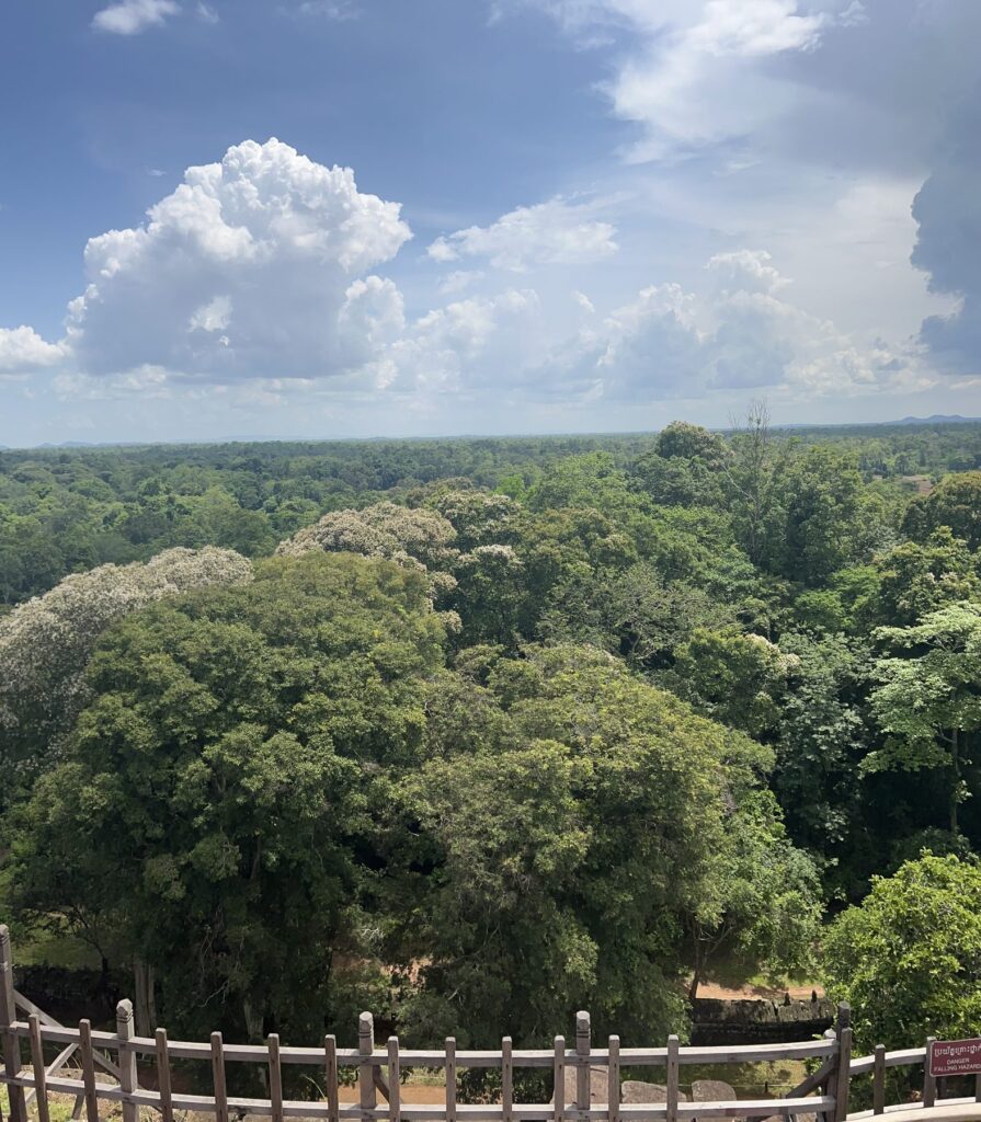 Forest and clouds seen from the summit railing of the Koh Ker pyramid in June