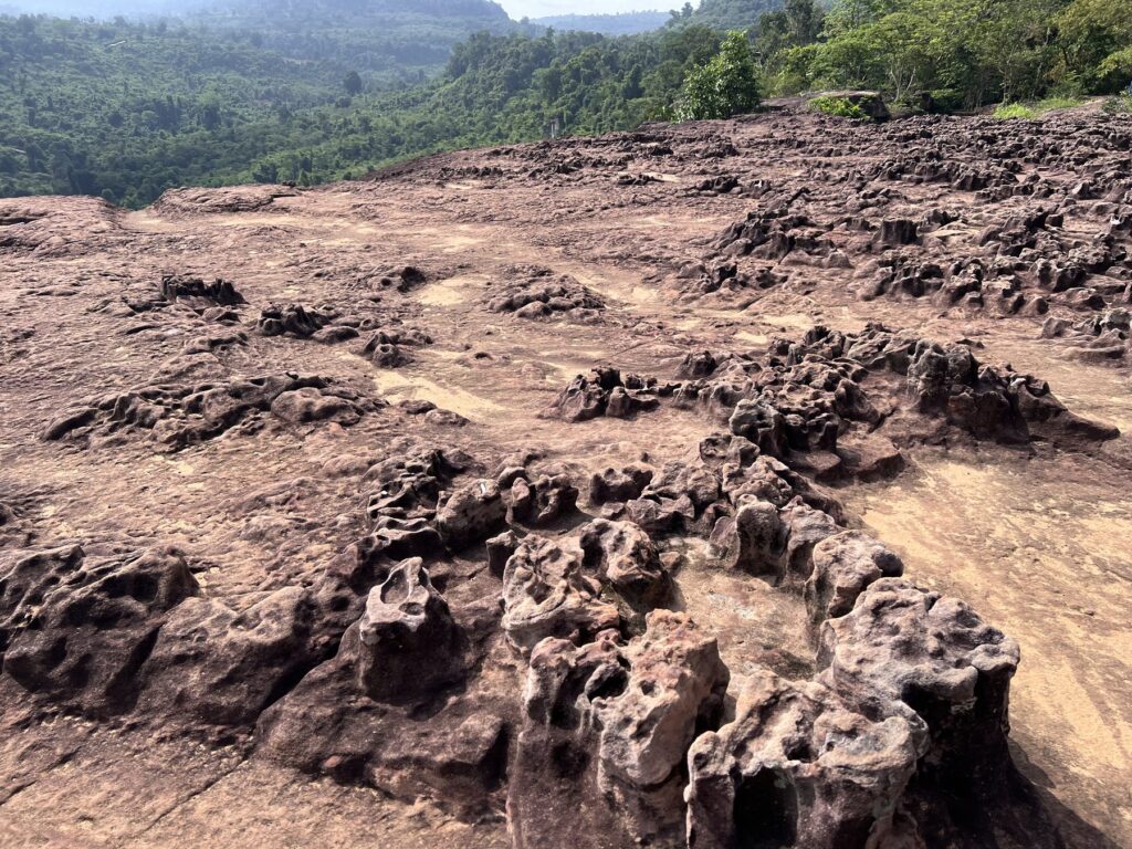 Heavily eroded sandstone at the Amazing Cliff that looks like dried coral reef