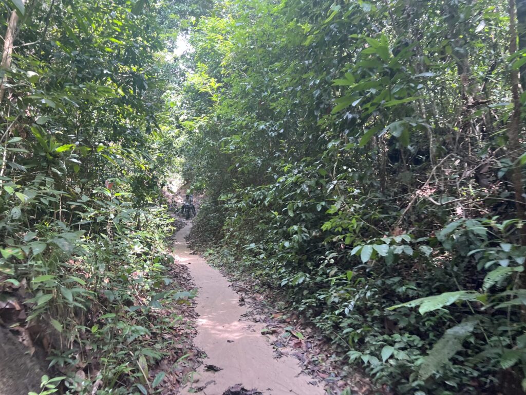 A narrow dirt motorbike trail through the forest on Phnom Kulen