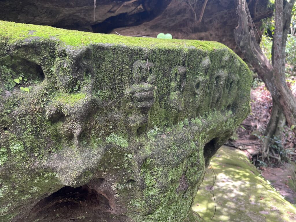 Rows of small carved figures on a moss-covered boulder at Peung Tbal